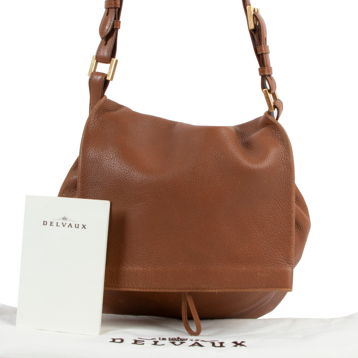 Sac bandoulière Delvaux Fauve Le Léon PM
