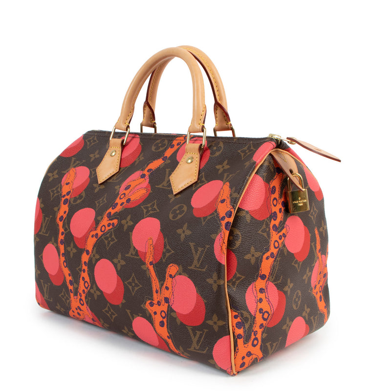 Louis Vuitton Multicolor Speedy 30 Ramages