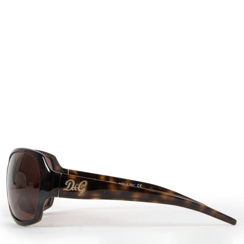 D&G 8018 Tortoise Wrap-around Sunglasses