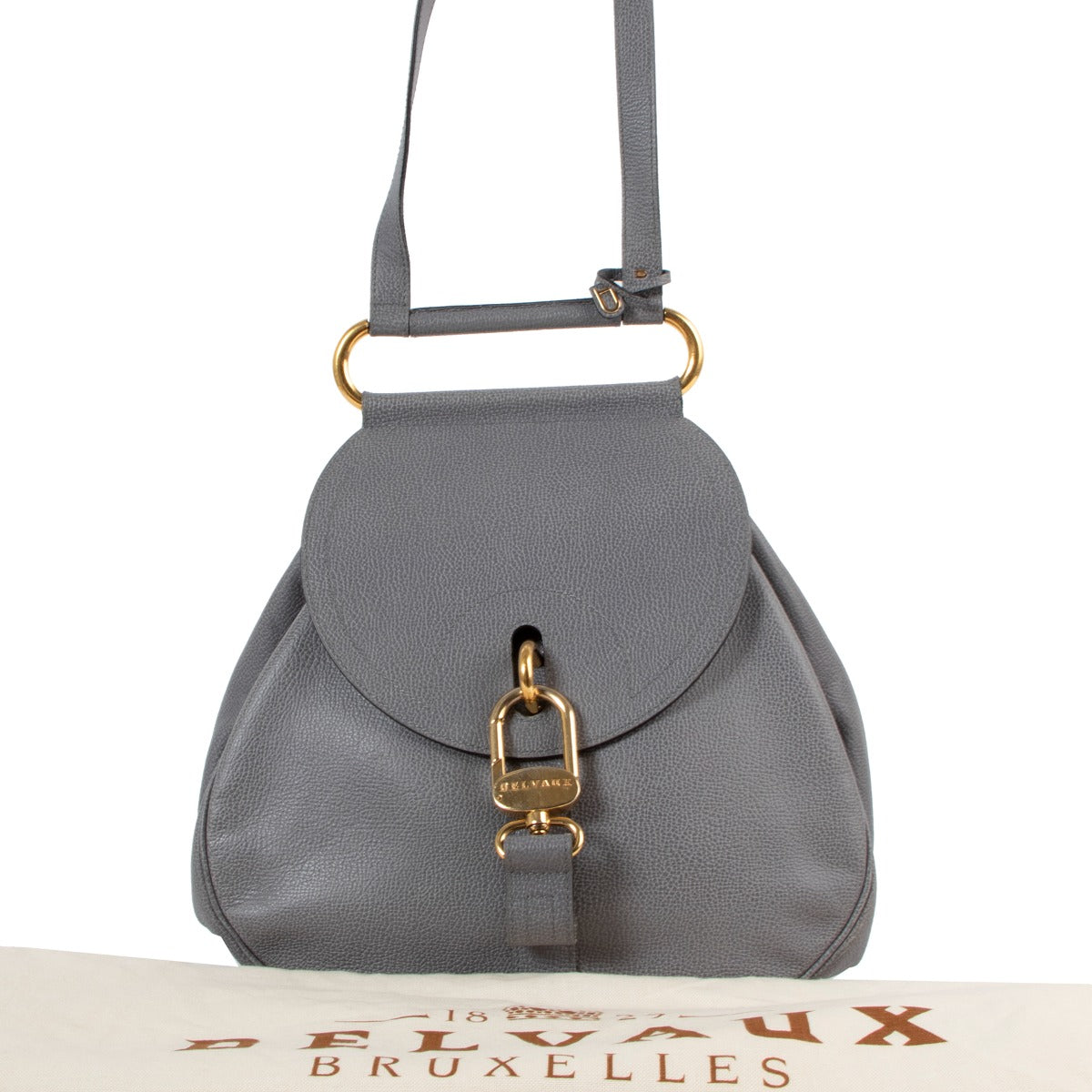 Delvaux Cerceau GM Niagara Jumping Shoulder Bag