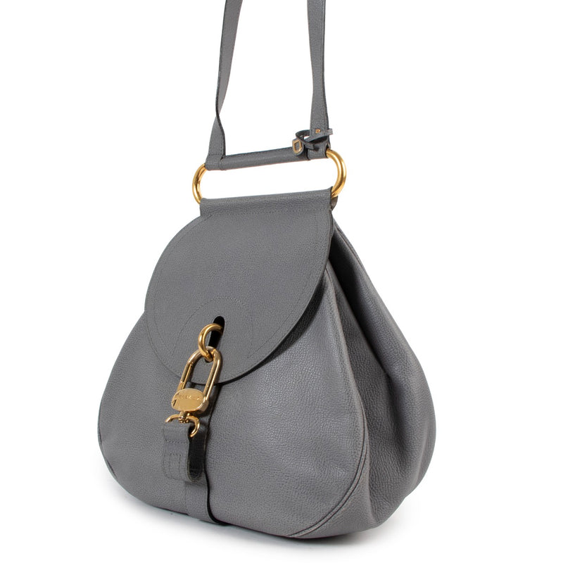 Delvaux Cerceau GM Niagara Jumping Shoulder Bag