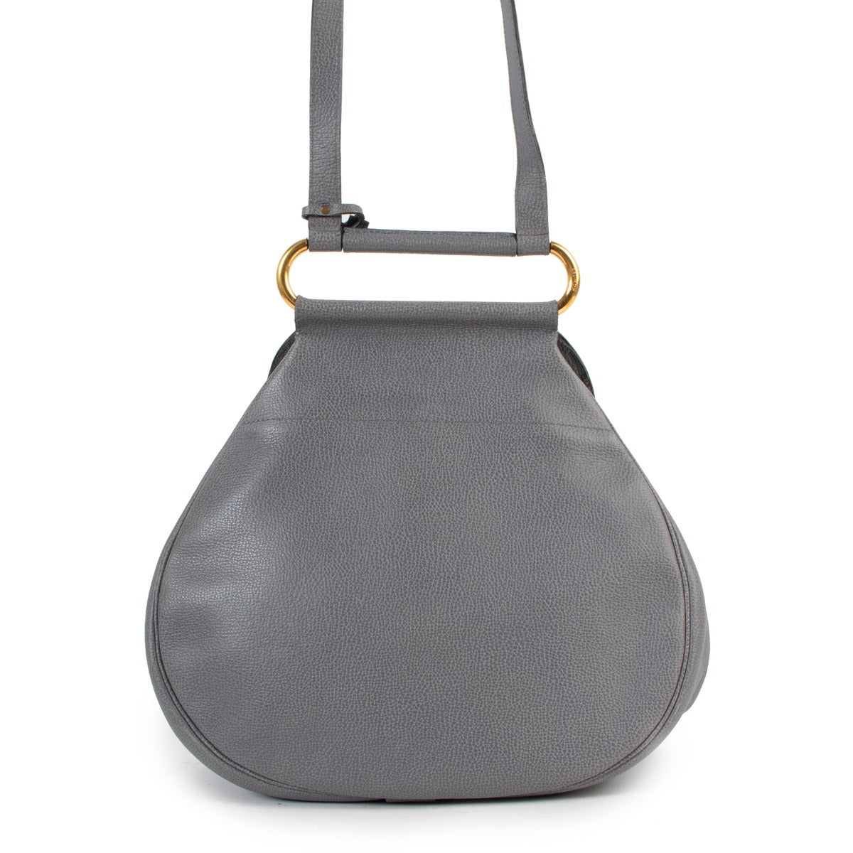 Delvaux Cerceau GM Niagara Jumping Shoulder Bag