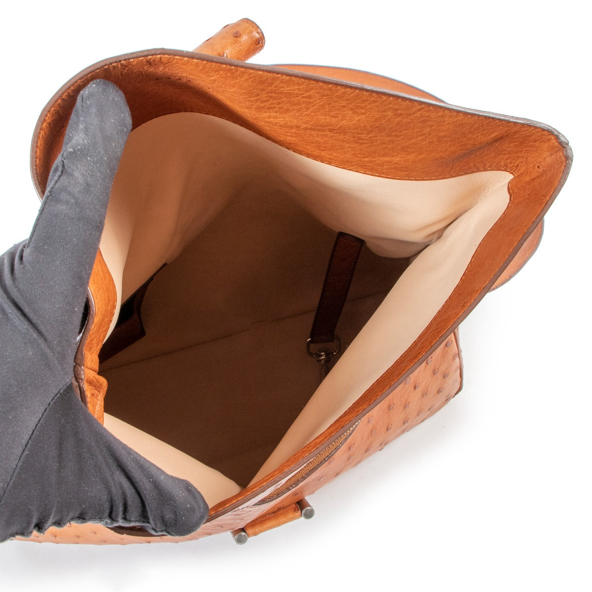 Delvaux Brandy Ostrich Givry Bag