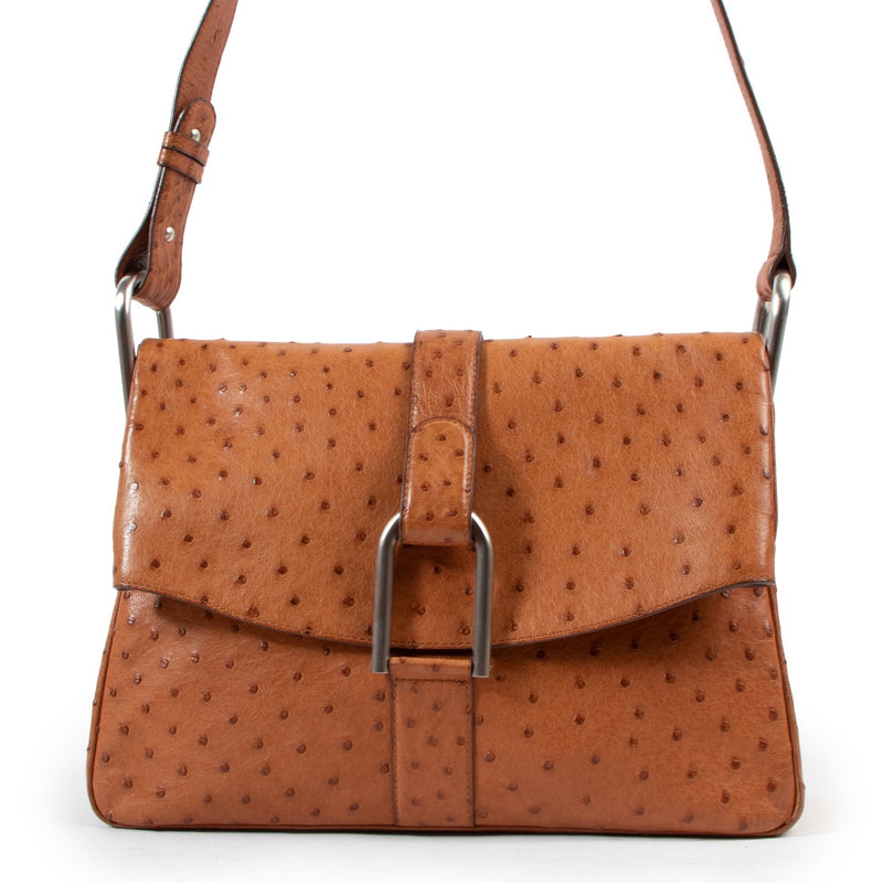 Delvaux Brandy Ostrich Givry Bag