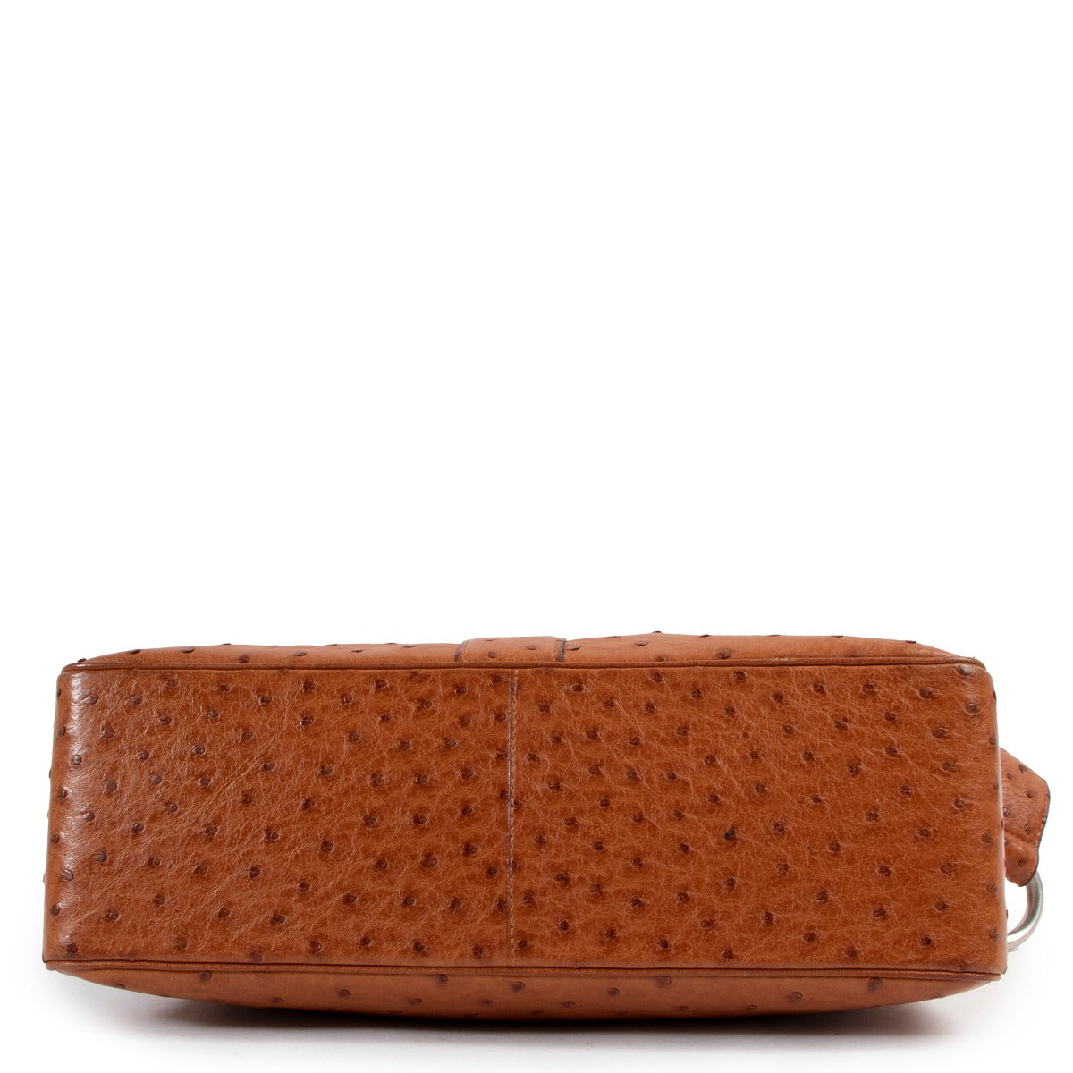 Delvaux Brandy Ostrich Givry Bag