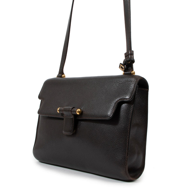 Delvaux Café Brown Leather Crossbody Bag