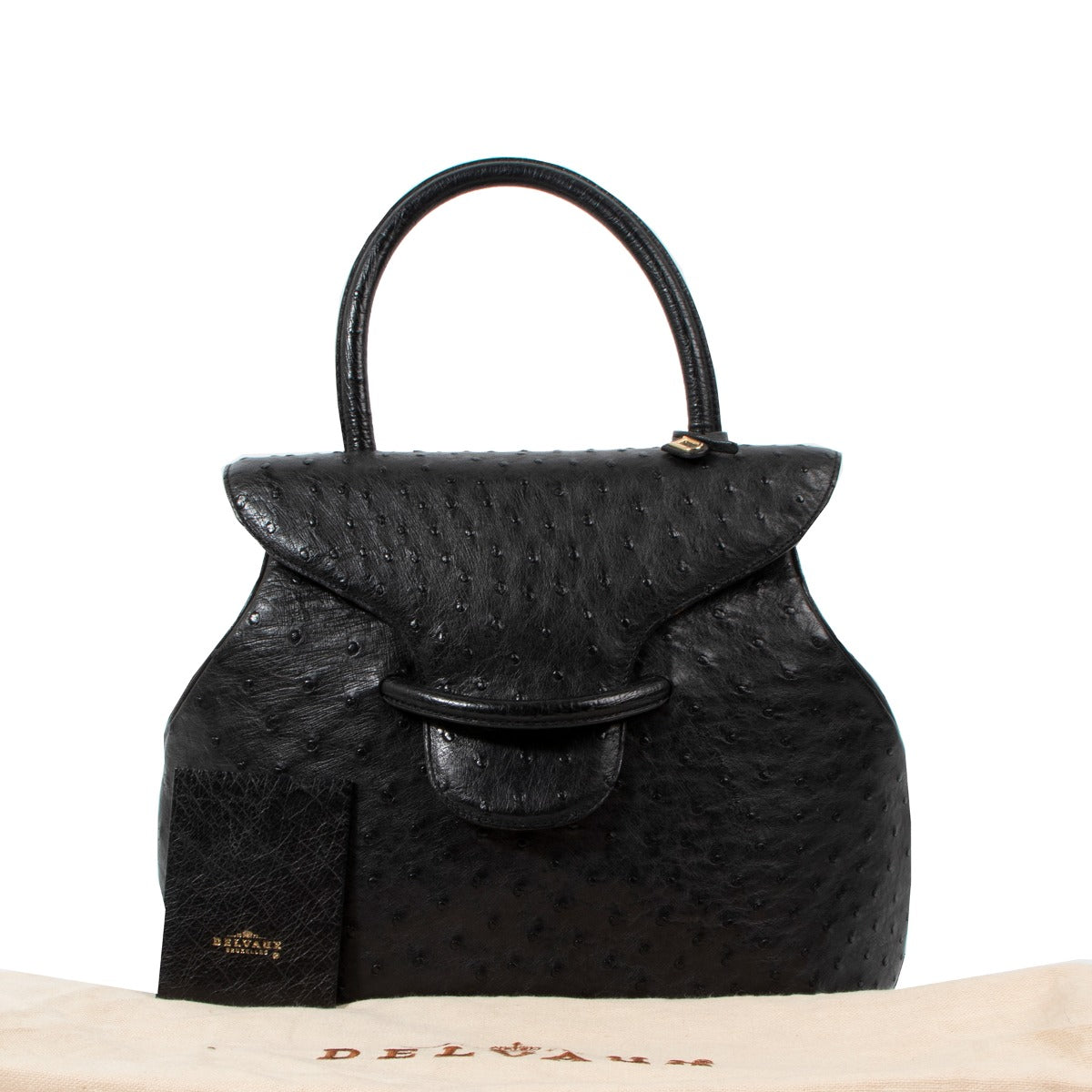 Delvaux Baltimore GM Black Ostrich Handbag