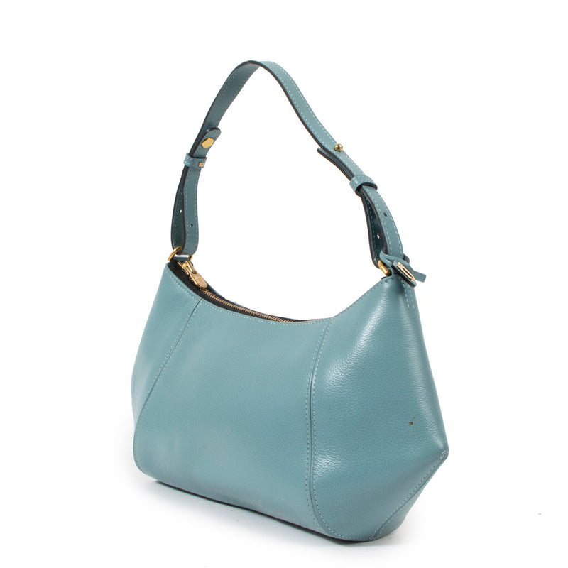 Delvaux Desir Horizon Schoudertas