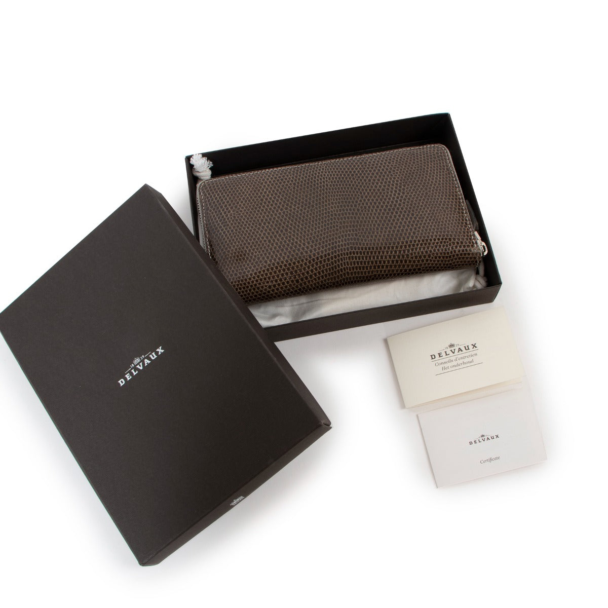 Portefeuille long zippé Delvaux Accordéon lézard brillant Lin