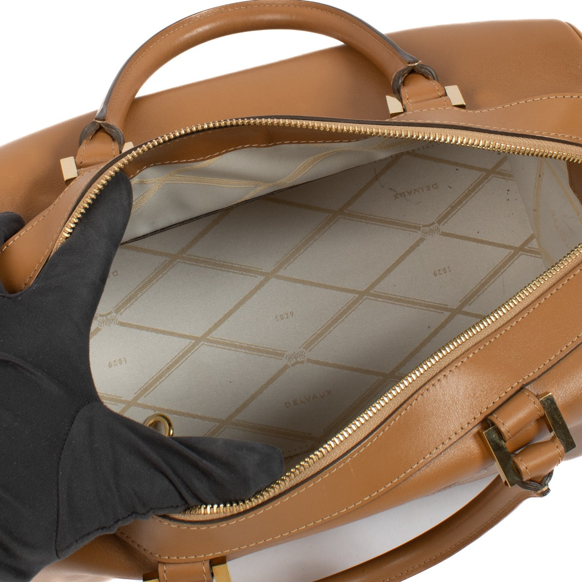 shop 100% authentic second hand Delvaux Vegetal Allure Louise Boston Bag on Labellov.com