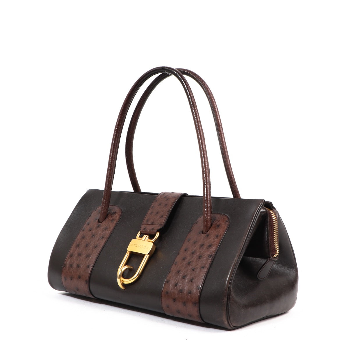 Buy an authentic second hand Delvaux Brown with Ostrich Leather Le George Shoulder Bag in very good condition at Labellov