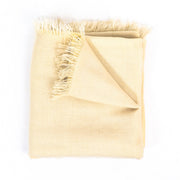 Buy an authentic Delvaux Off-White Cashmere Scarf in very good condition at Labellov in Antwerp.