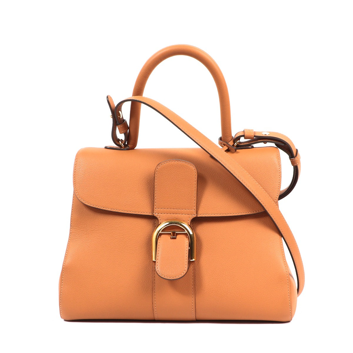 Delvaux Brillant MM Végétal Rodeo Calf