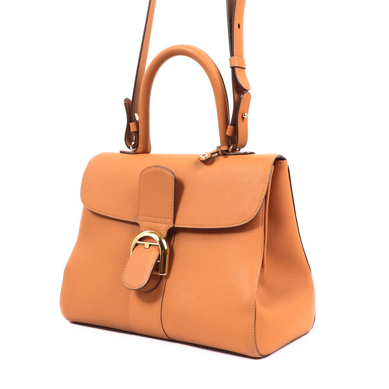 Delvaux Brillant MM Végétal Rodeo Calf