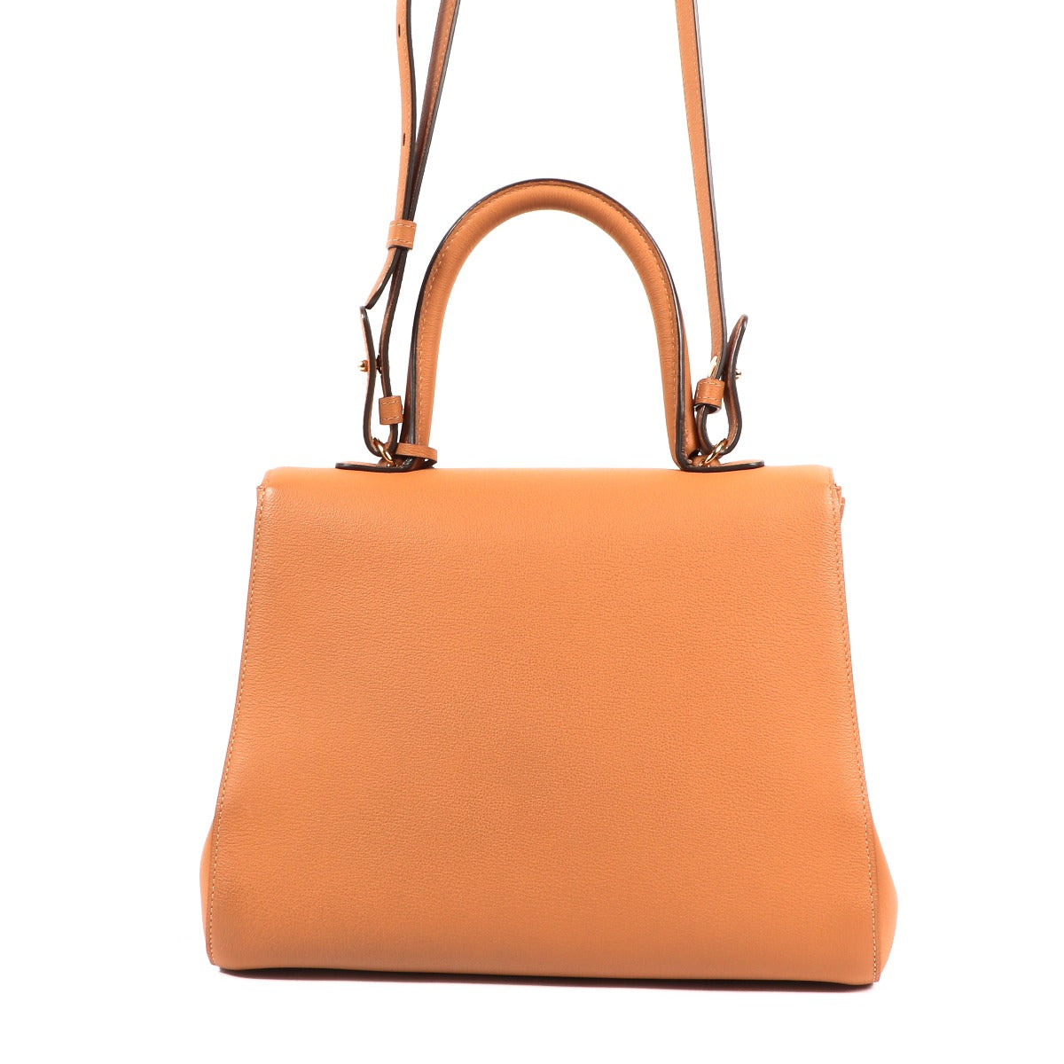 Delvaux Brillant MM Végétal Rodeo Calf