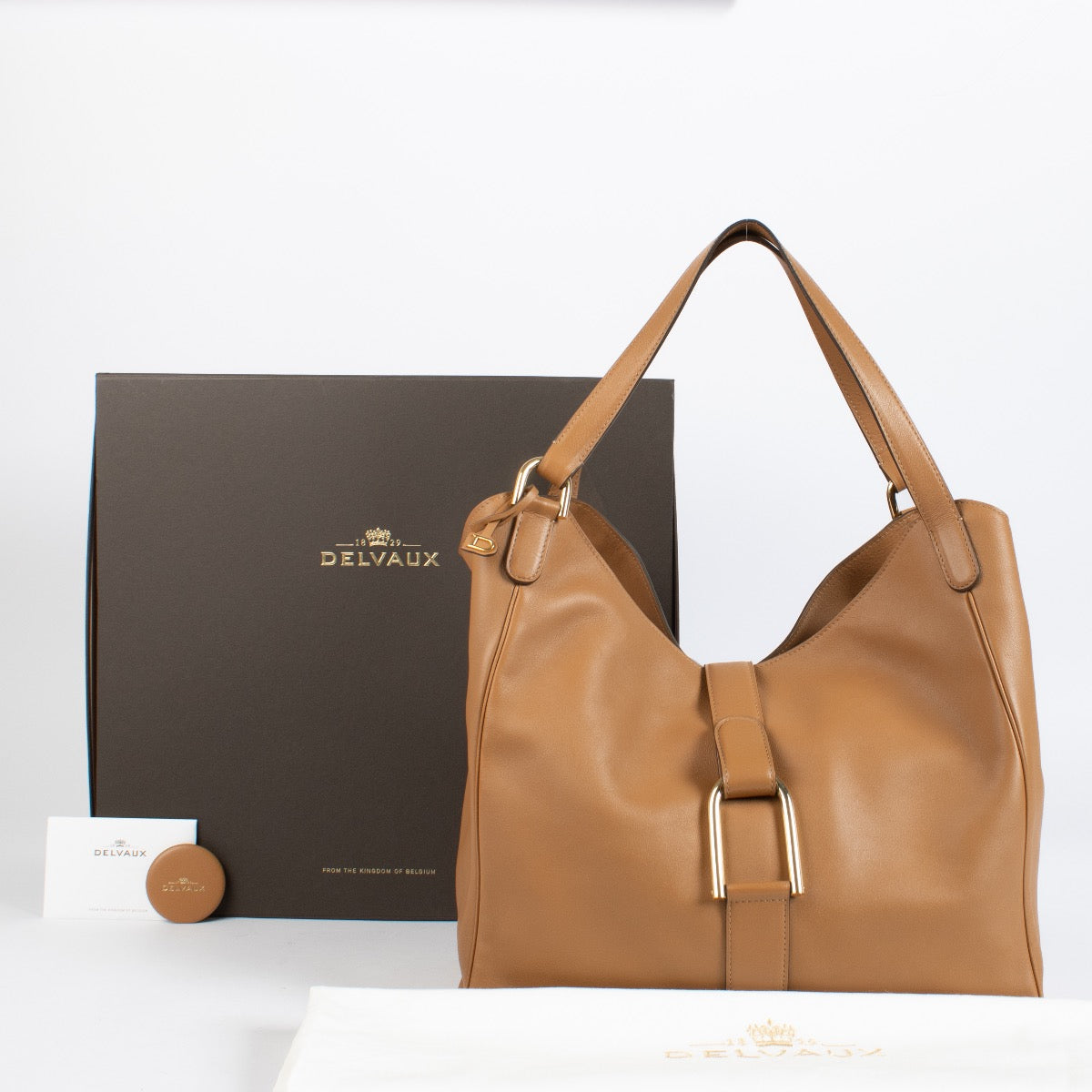 Authentic second-hand Delvaux Vegetal Polo Givry Besace Bag on labellov.com