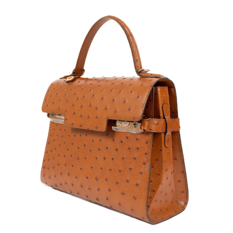 Shop 100% authentic secondhand Delvaux Brown Tempête MM Ostrich Top Handle on Labellov.com