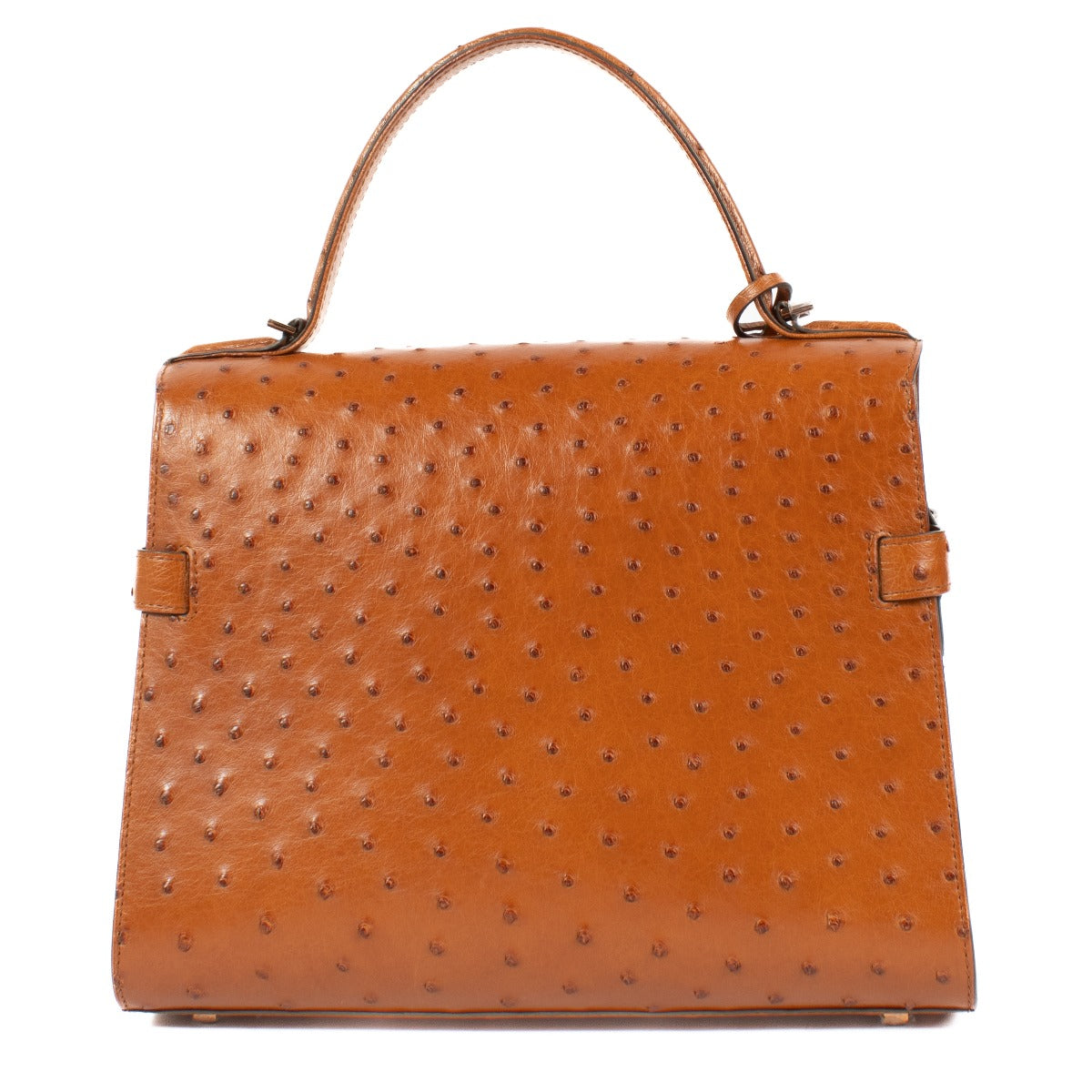 Shop 100% authentic secondhand Delvaux Brown Tempête MM Ostrich Top Handle on Labellov.com
