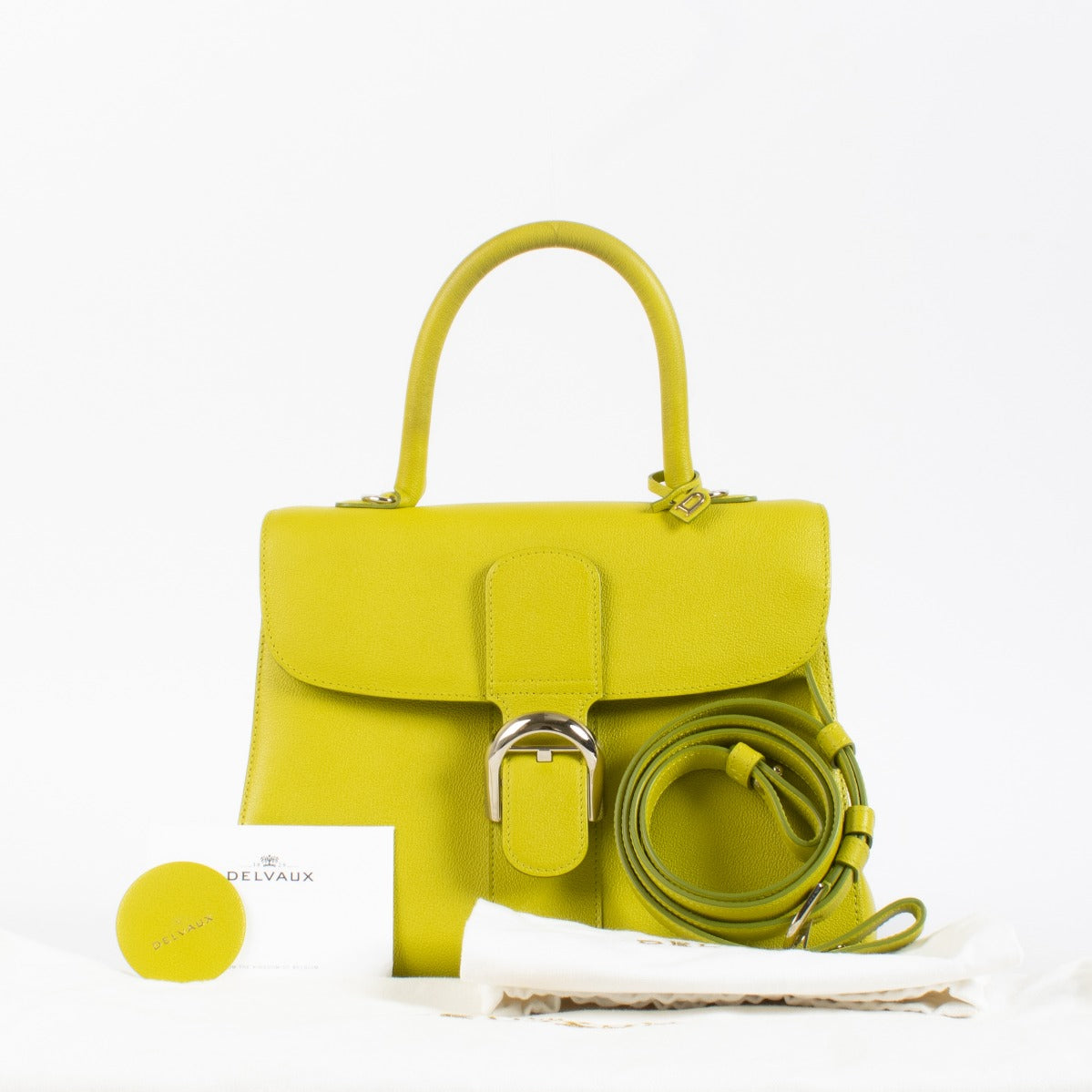 Delvaux Absinthe Rodeo Calf Brillant MM Bag