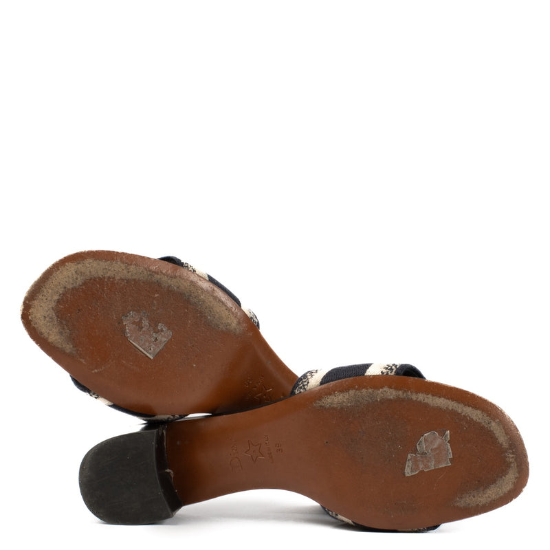 shop 100% authentic second hand Christian Dior Blue Dway Mule Sandals - Size 39 on Labellov.com