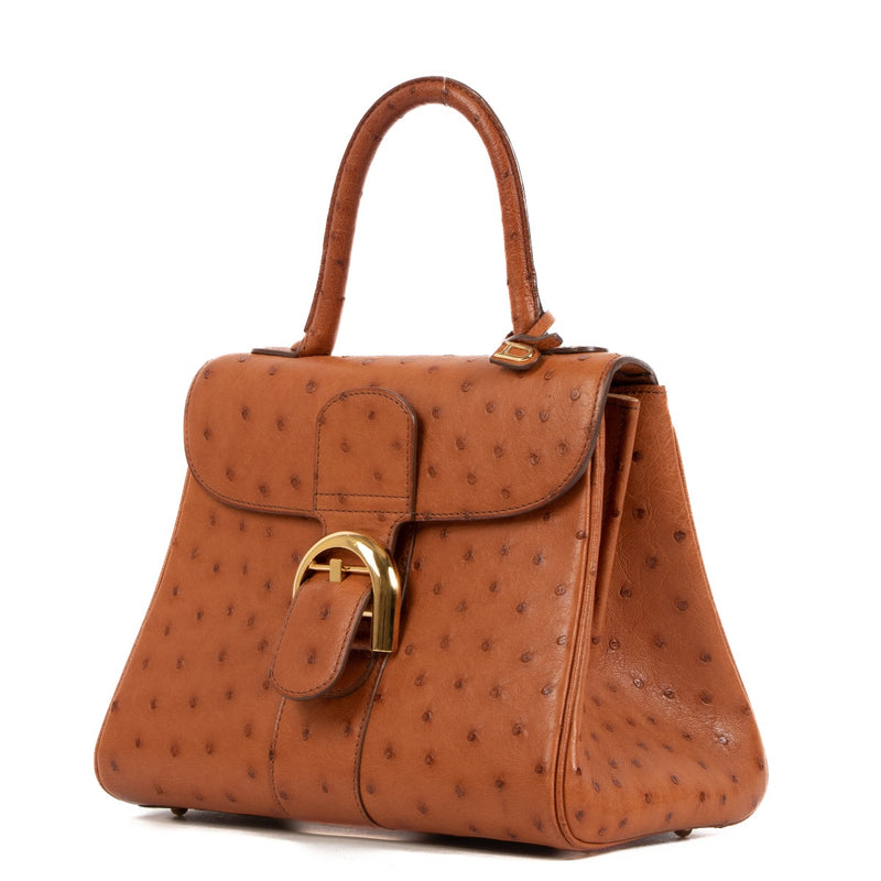 Delvaux Brillant PM Ostrich Brandy