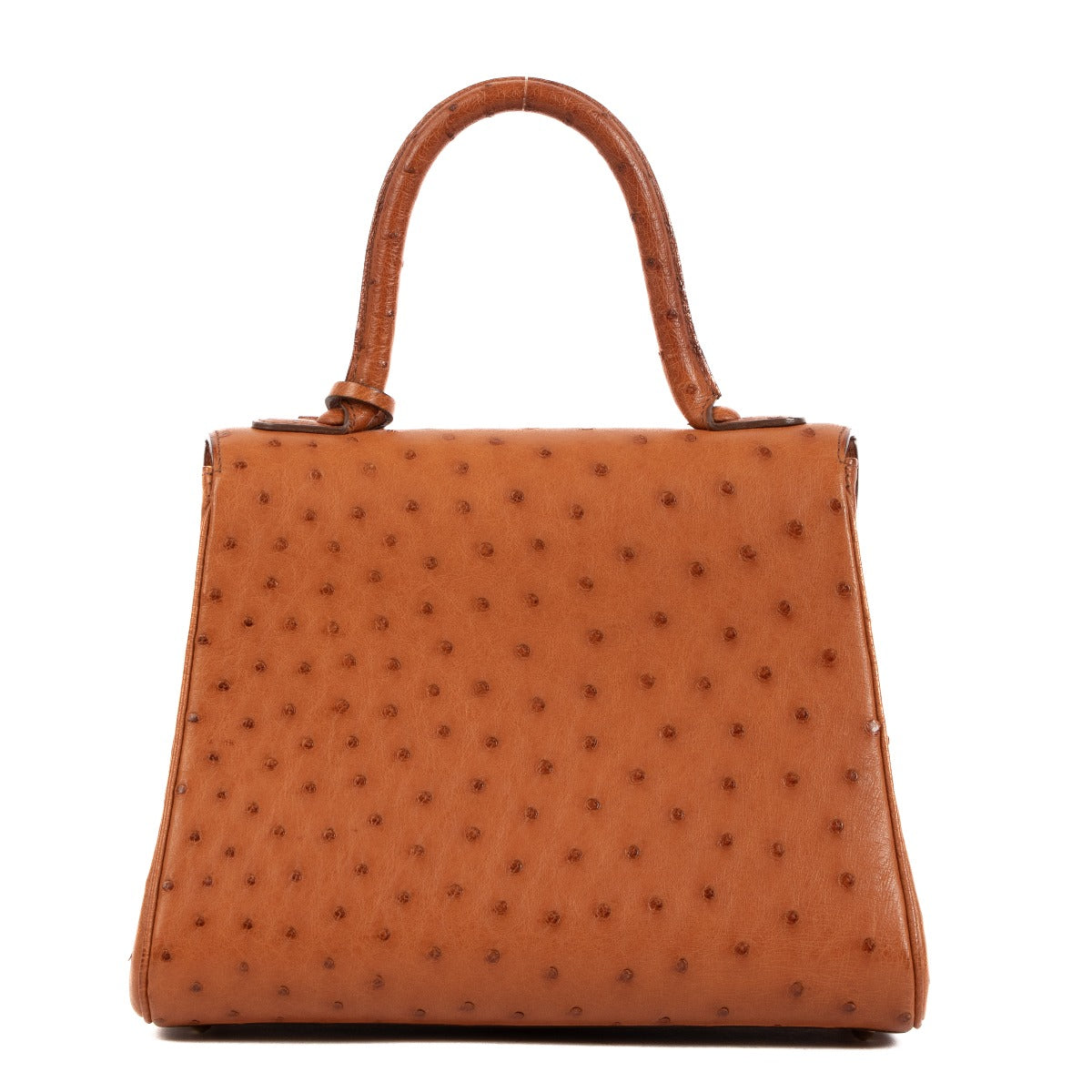Shop authentic second hand Delvaux Brillant PM Ostrich Brandy on www.labellov.com