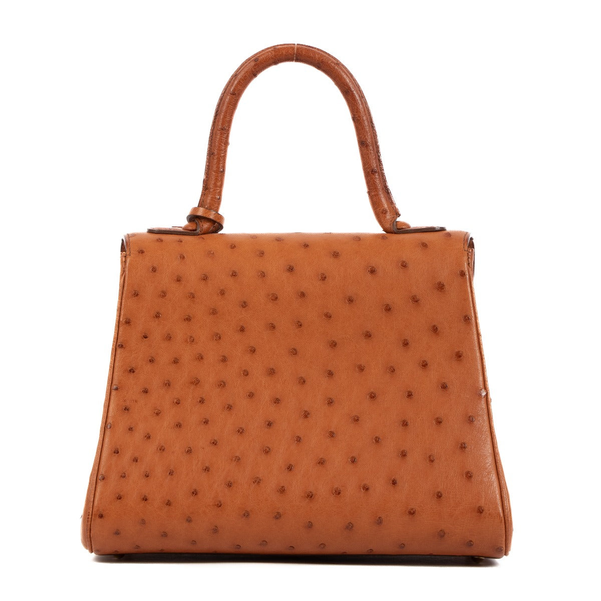 Delvaux Brillant PM Ostrich Brandy