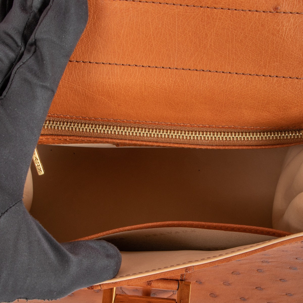 Delvaux Brillant PM Ostrich Brandy