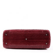 Buy an authentic second hand Christian Dior Grape Python ABC Large Lady Dior in very good condition at Labellov.com