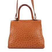 Buy an authentic Delvaux Brillant MM Brandy Ostrich Leather on LabelLov.com