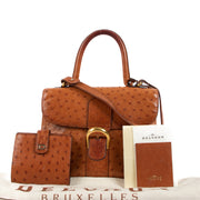 Buy an authentic Delvaux Brillant MM Brandy Ostrich Leather on LabelLov.com