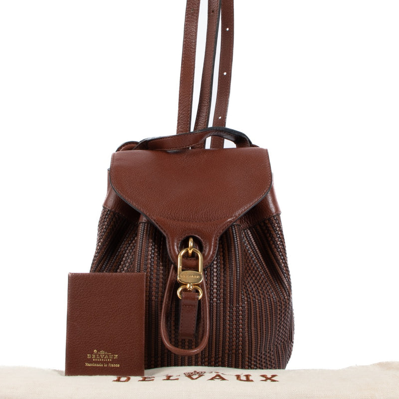 Pre loved Delvaux backpack in very good conditon on Labellov.com