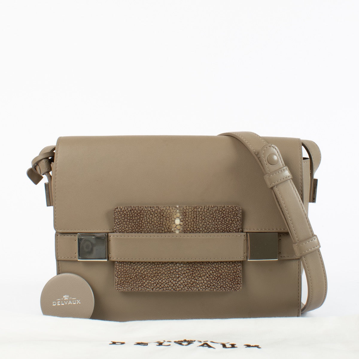 authentic preloved Delvaux Madame Bag in Tourterelle Galuchat on Labellov.com