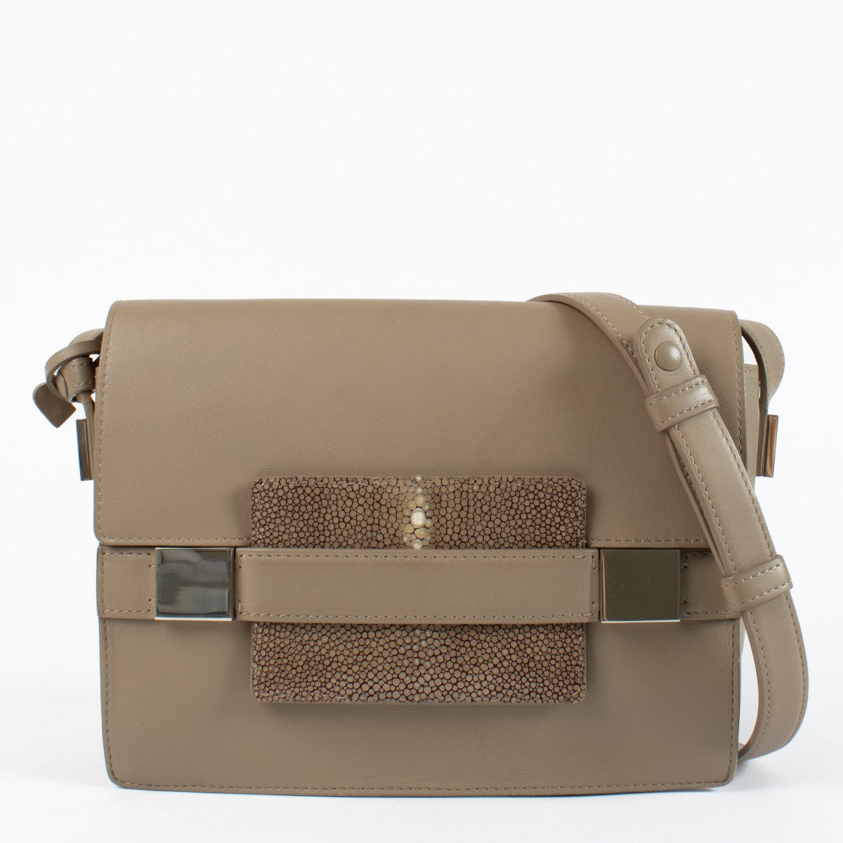 authentic preloved Delvaux Madame Bag in Tourterelle Galuchat on Labellov.com