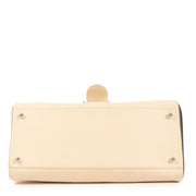 Shop an 100% authentic Delvaux Brillant East West Bicolor Bag on Labellov.com