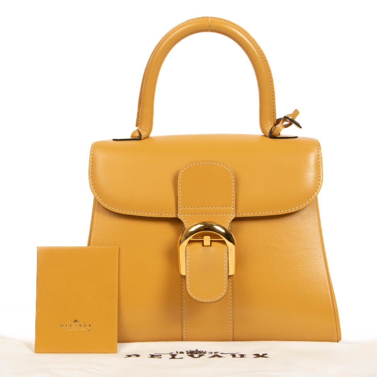 shop 100% authentic second hand Delvaux Yellow Brillant PM on Labellov.com