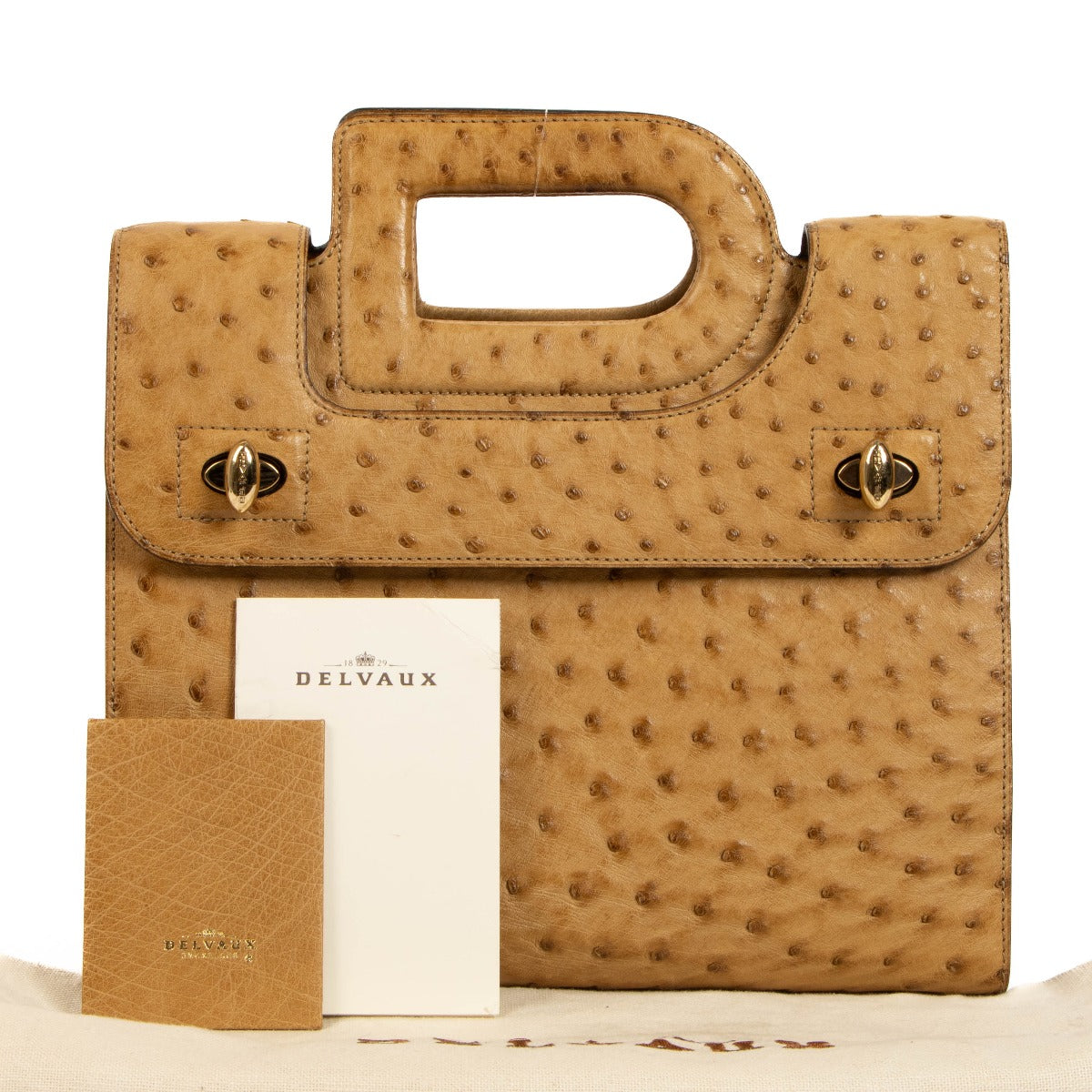Delvaux Sahara Ostrich Emeraude PM