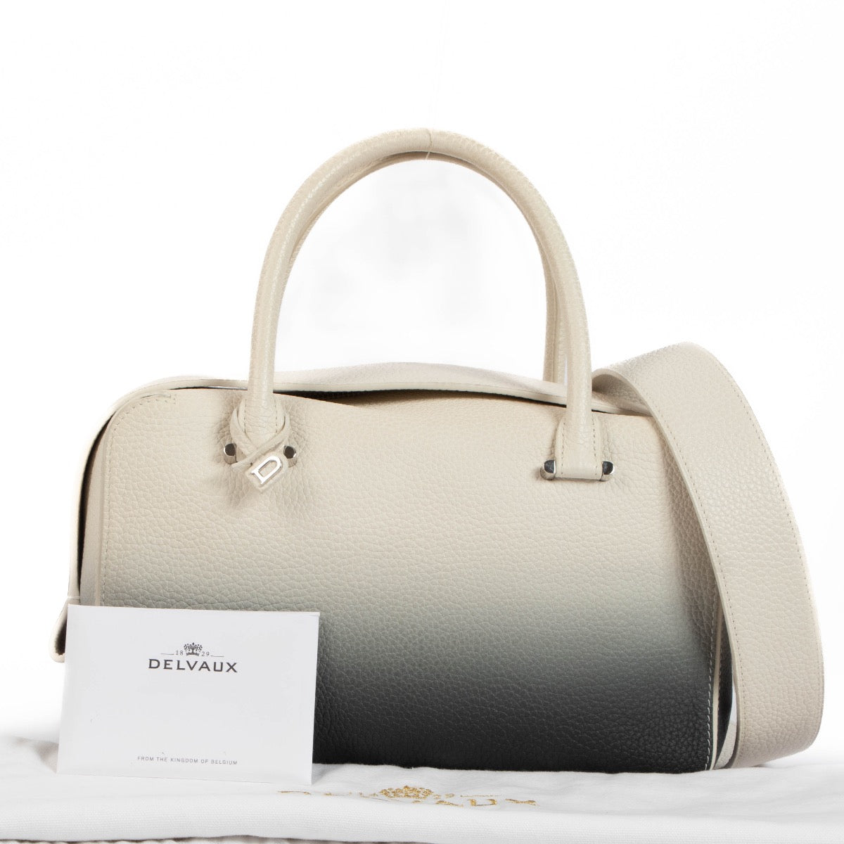Delvaux Cool Box MM Phantom Bag