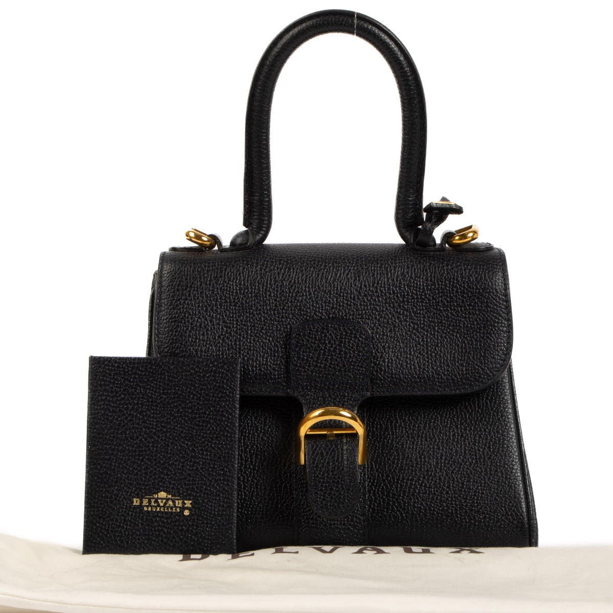 Shop 100% authentic second-hand Delvaux Blue Brillant Mini on Labellov.com