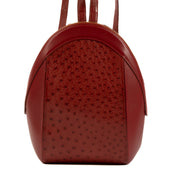 Shop vintage luxury designer second hand Delvaux Red Leather and Ostrich Amitie Backpack at Labellov.