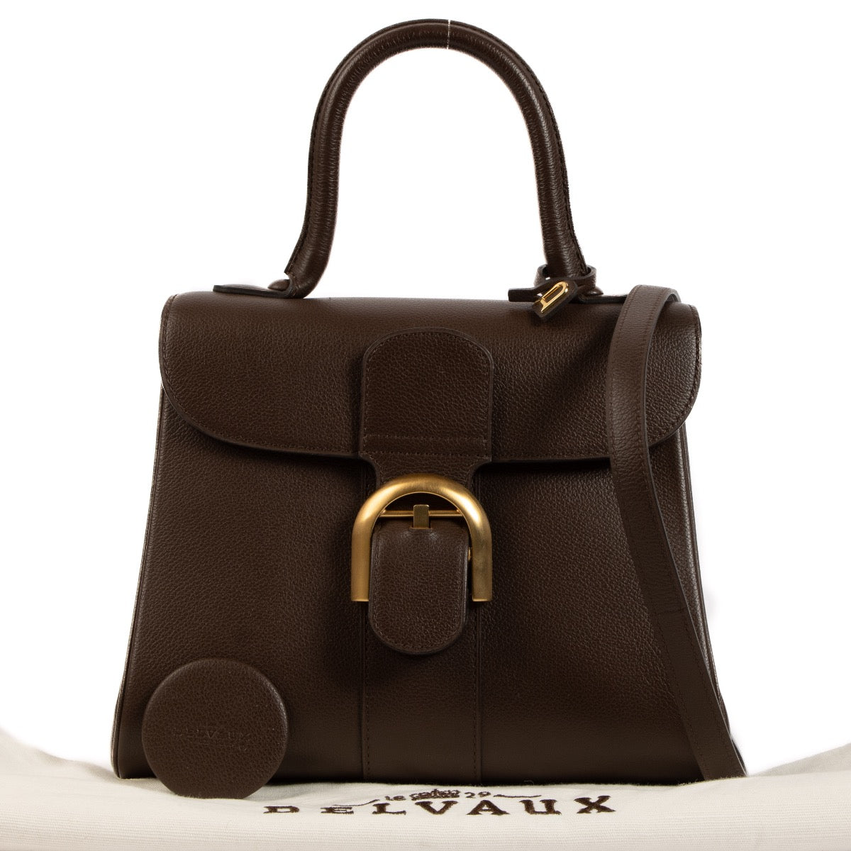 Shop 100% authentic second-hand Delvaux Brillant PM Jumping Brown Shoulder Bag on Labellov.com