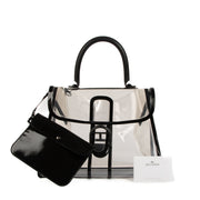 Delvaux Transparent PVC Brillant X Ray Bag
