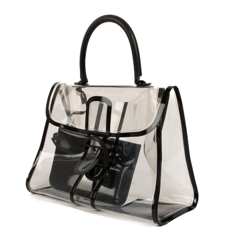 Delvaux Transparent PVC Brillant X Ray Bag