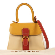 Shop 100% authentic second-hand Delvaux Tri-Color Leather Brillant Mini Bag on Labellov.com