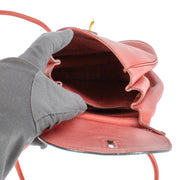 Authentic Second Hand Delvaux Red Cerceau Crossbody on Labellov.com