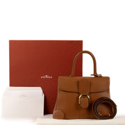 shop 100% authentic second hand Delvaux Fauve Jumping Brillant MM Bag on Labellov.com