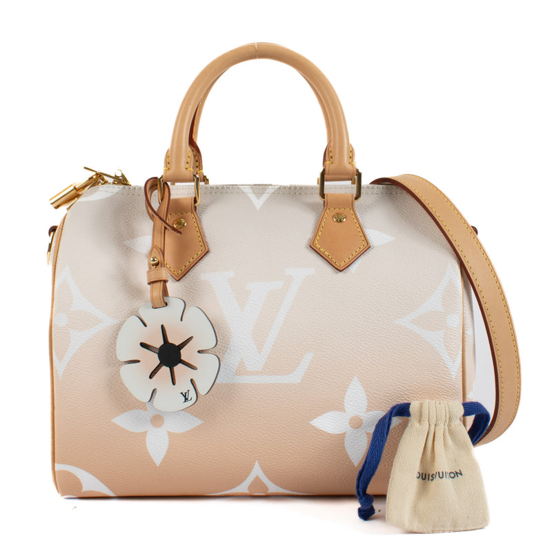 Louis Vuitton Monogram Giant By the Pool Speedy Bandoulière 25 Bag