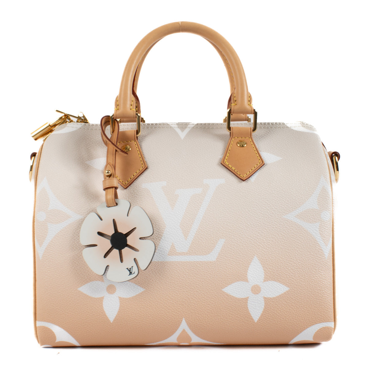 Louis Vuitton Monogram Giant By the Pool Speedy Bandoulière 25 Bag