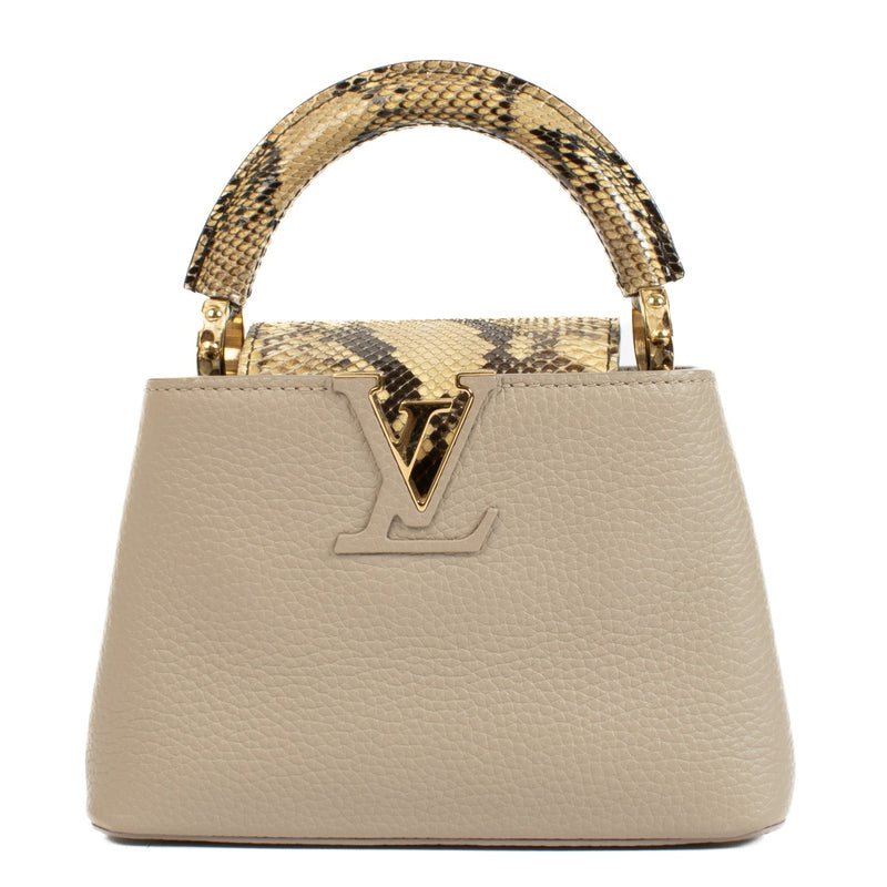 Louis Vuitton Galet Taurillon/Python Capucines Mini