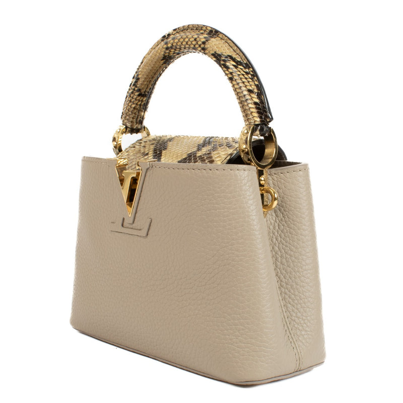Louis Vuitton Galet Taurillon/Python Capucines Mini